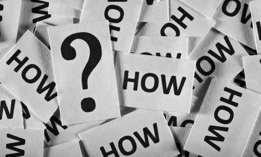 Choosing the Best Waste Bin Rental